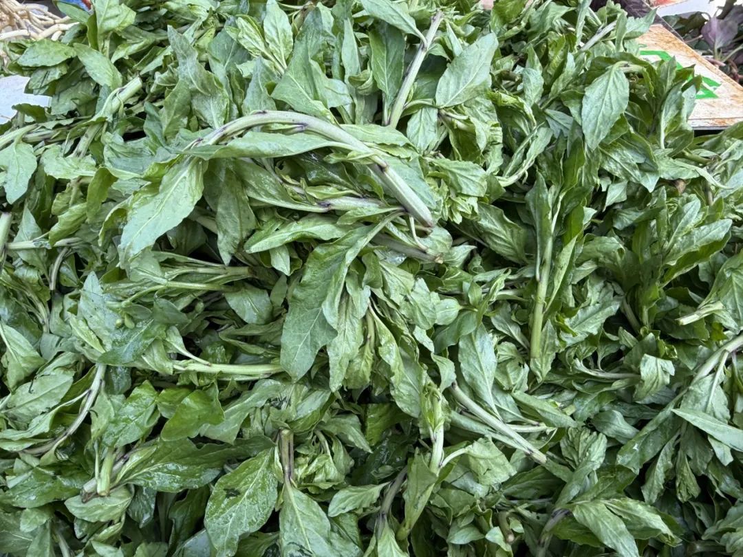 晋宁 诗意的栖居地