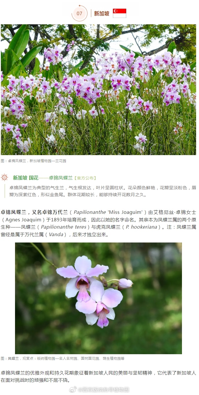 西双版纳热带植物园
