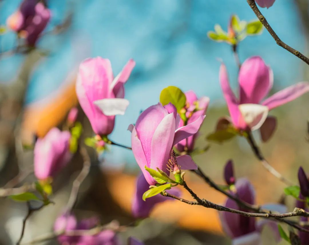 晋宁 诗意的栖居地