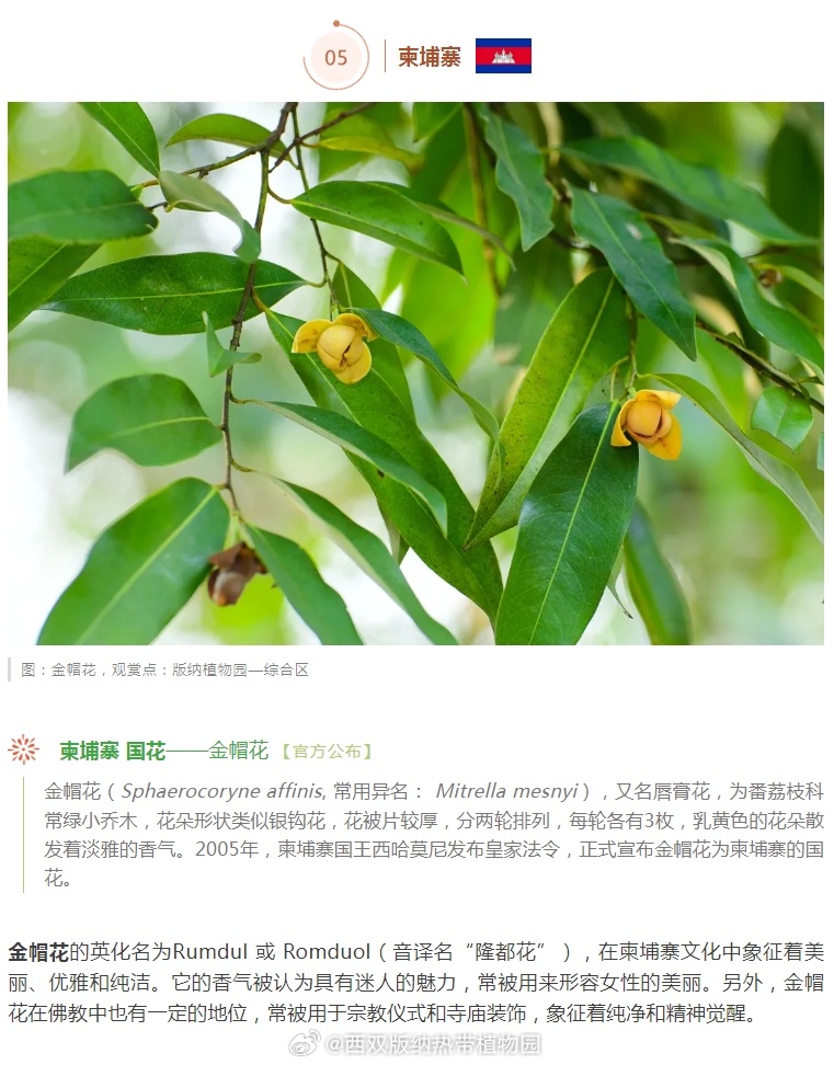 西双版纳热带植物园