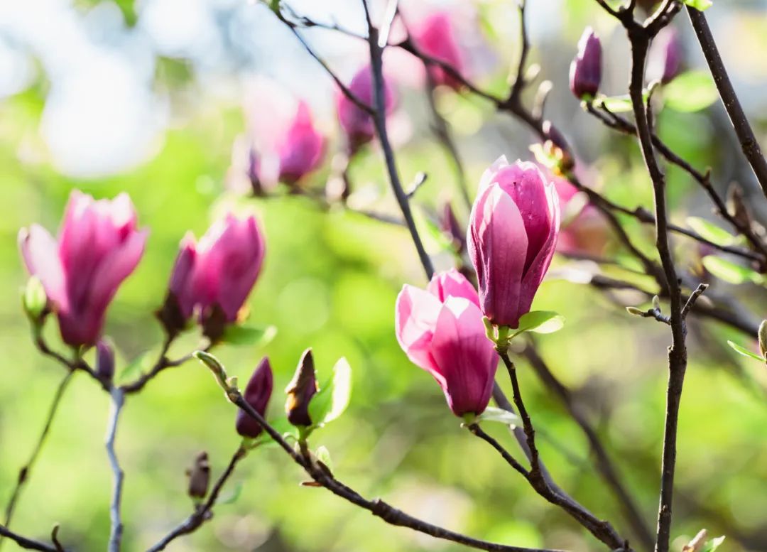 晋宁 诗意的栖居地