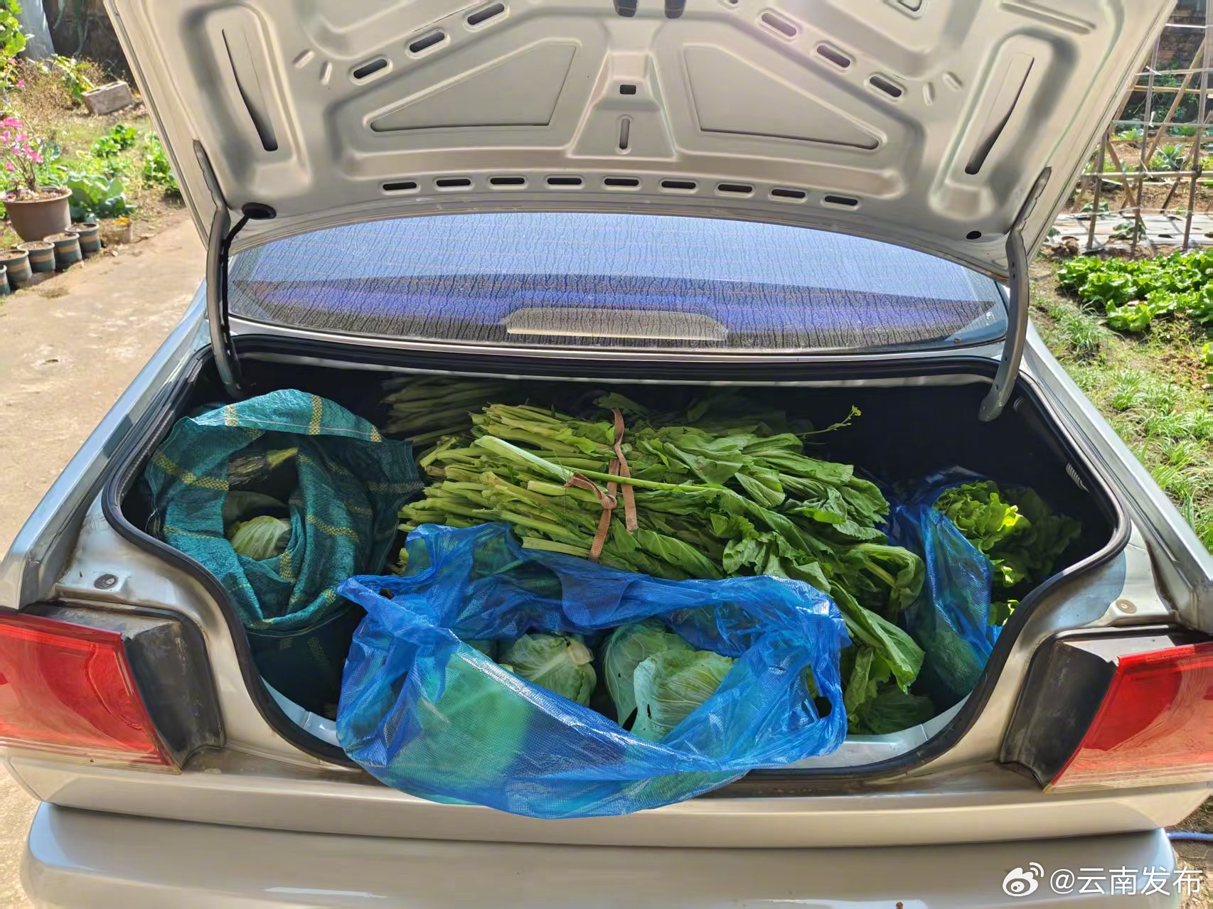 云南发布