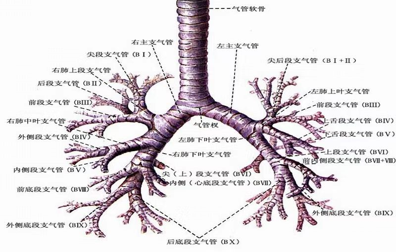 云南省中医医院