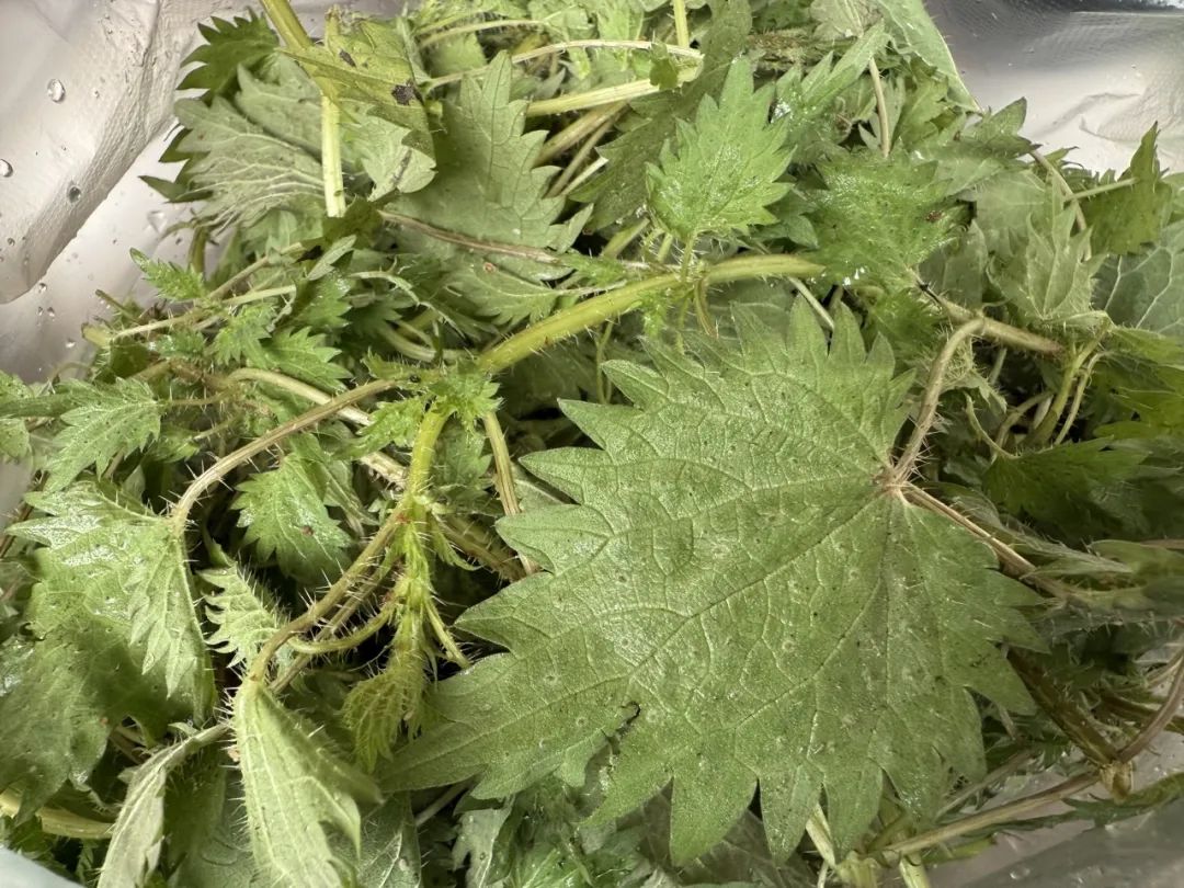 晋宁 诗意的栖居地