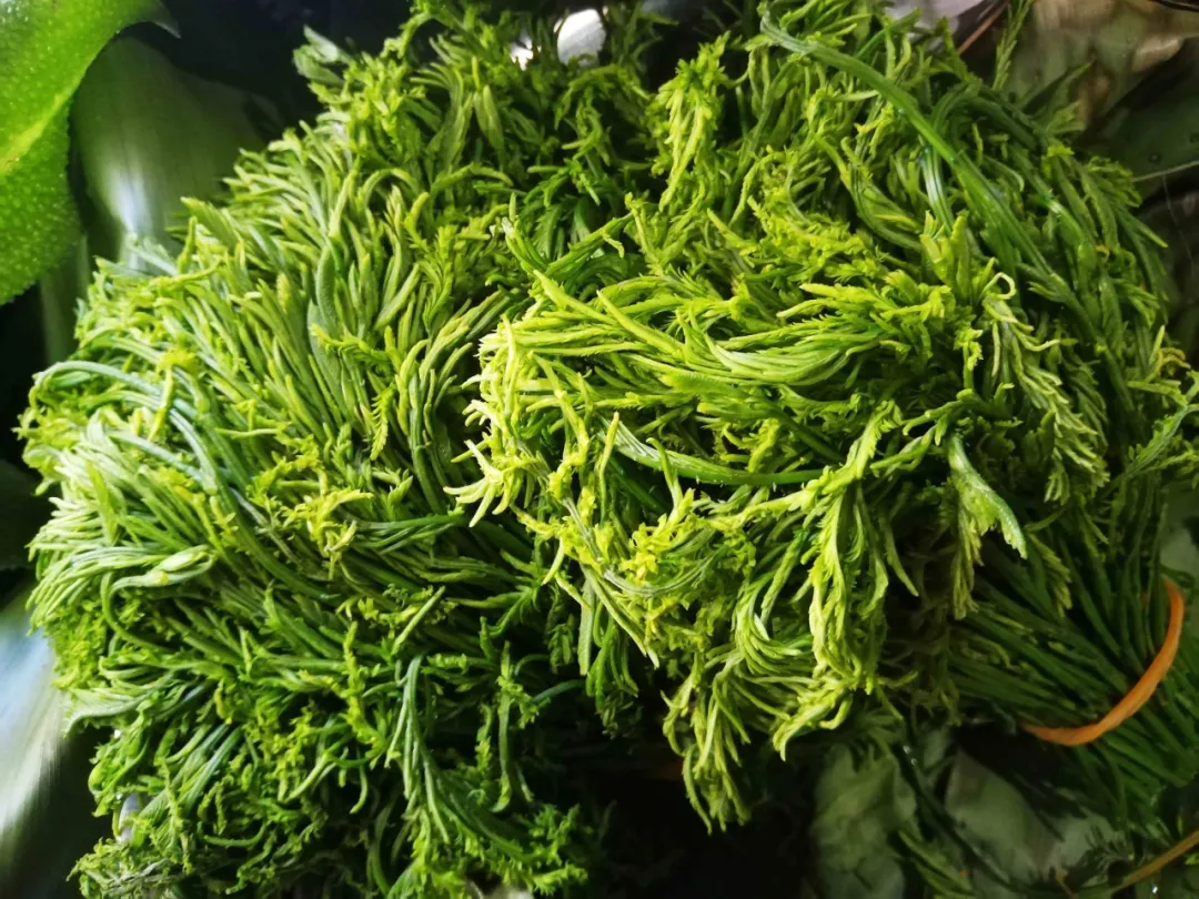 FM105城市生活广播