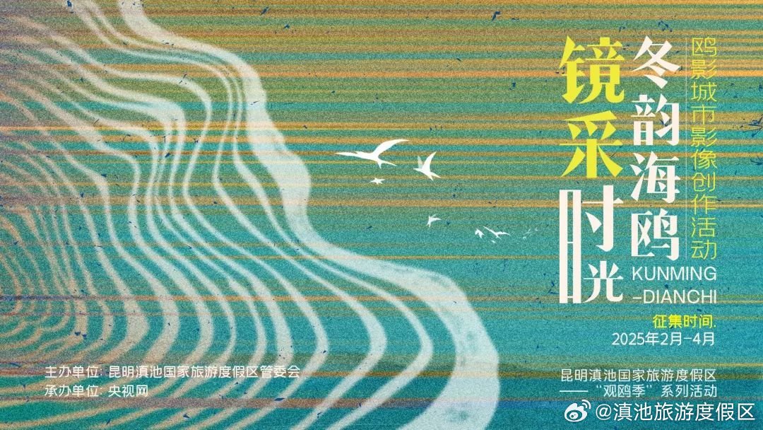 用镜头续写昆明四十年人鸥情缘！滇池度假区“观鸥季”城市影像征集活动启动