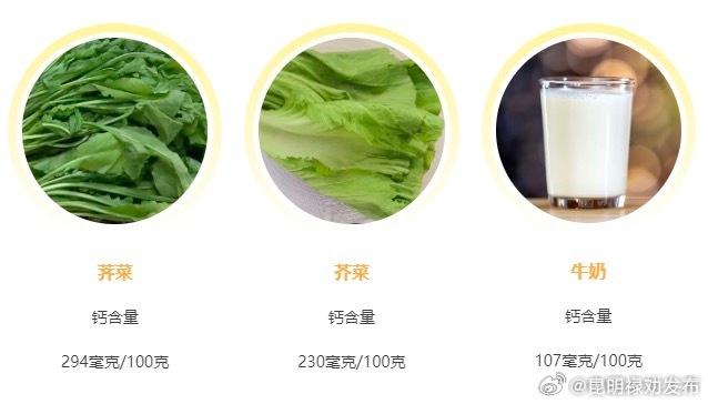 荠菜和芥菜是隐藏的补钙佳品