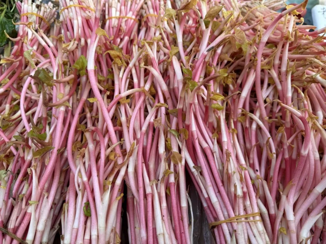 晋宁 诗意的栖居地