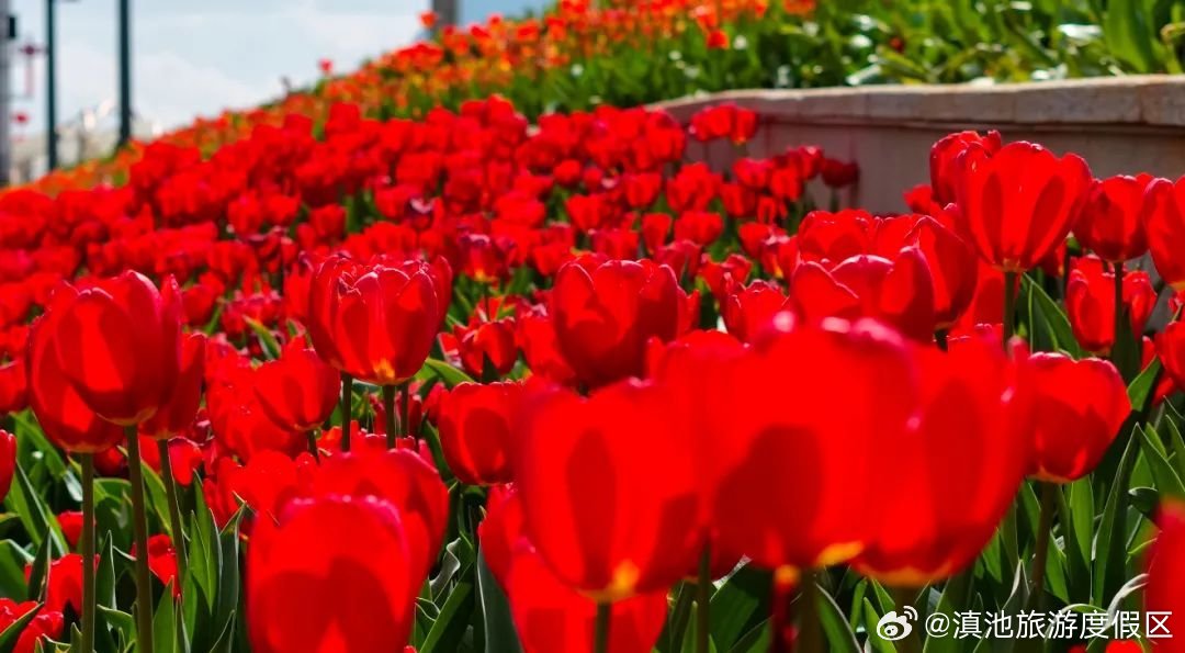 滇池旅游度假区