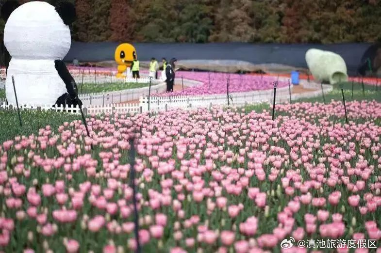 滇池旅游度假区