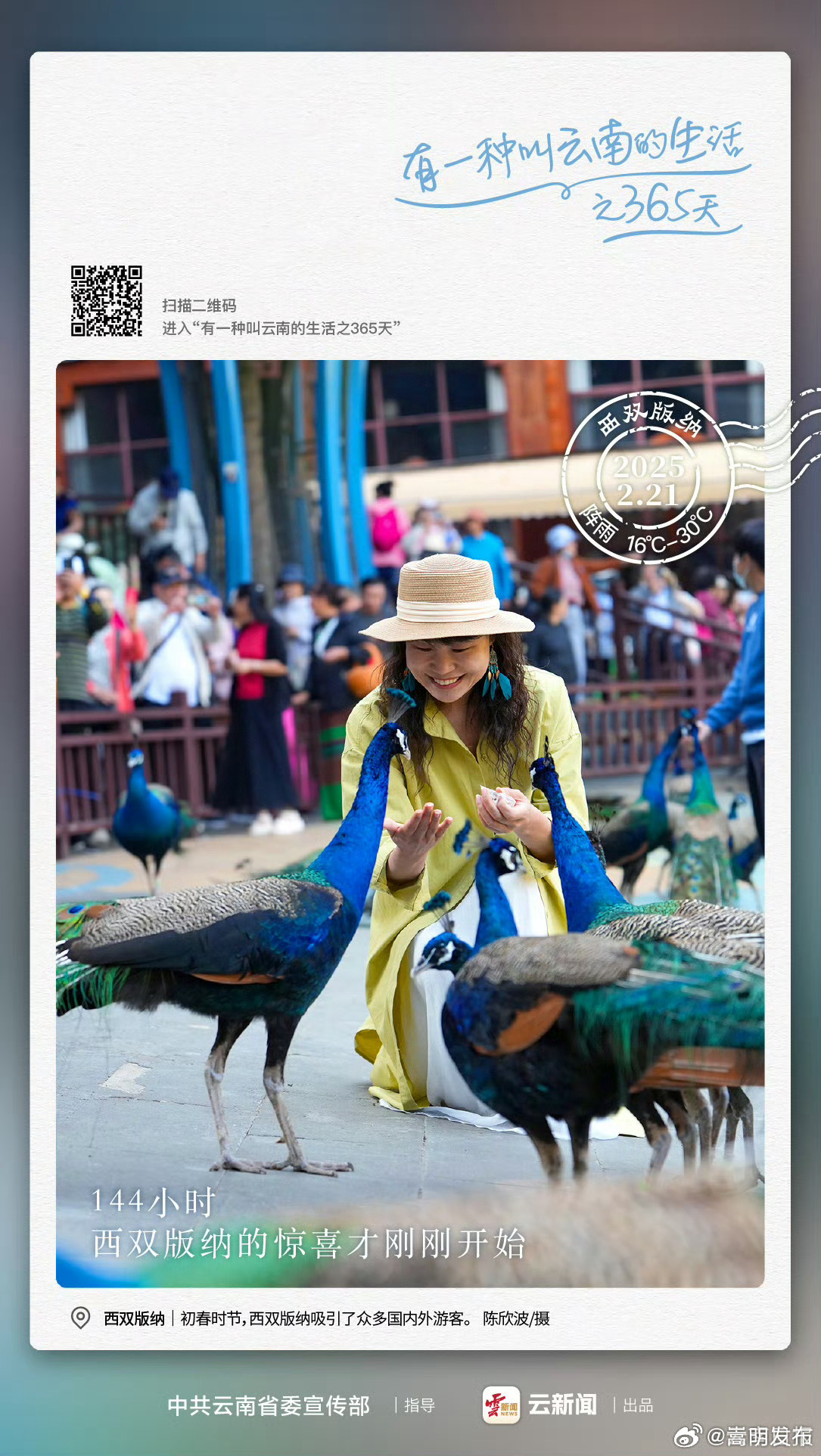 144小时，西双版纳的惊喜才刚刚开始——有一种叫云南的生活之365天