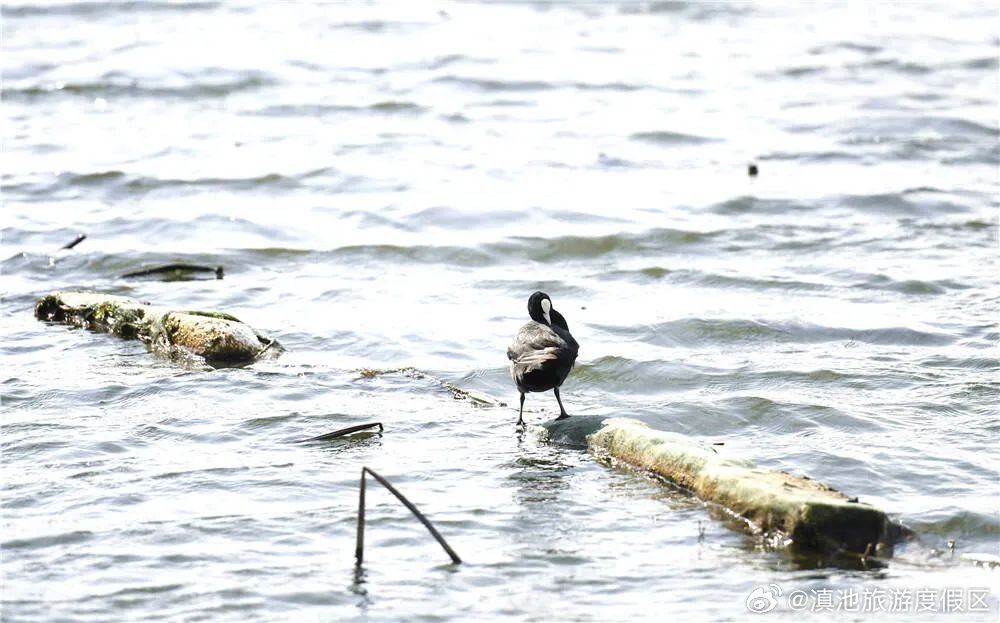 滇池旅游度假区