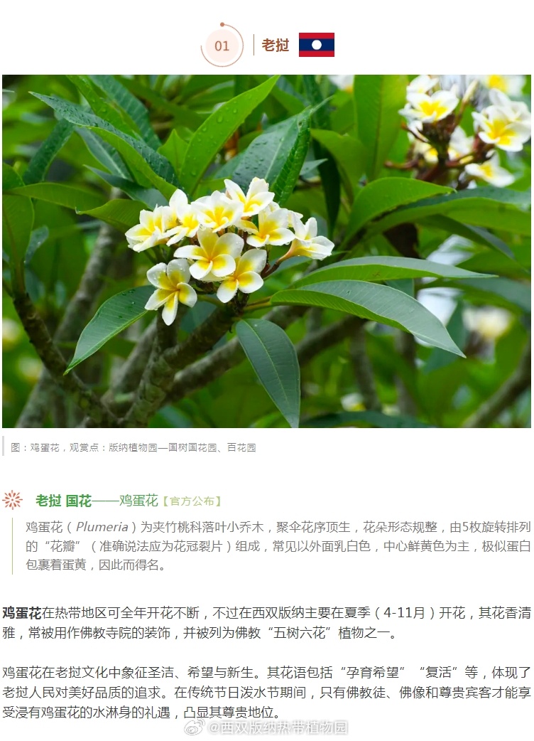 西双版纳热带植物园