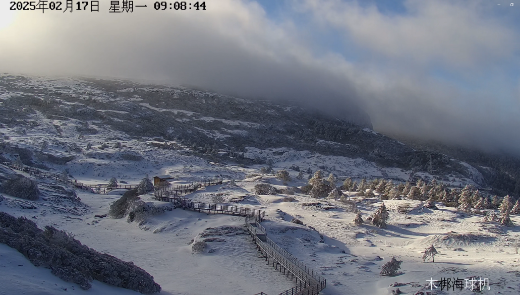 8099999街头巷尾微信