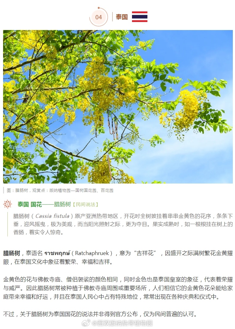 西双版纳热带植物园