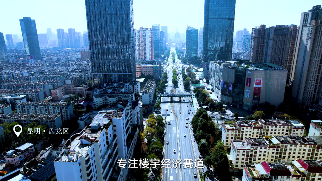 微观盘龙