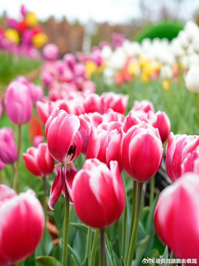 滇池旅游度假区