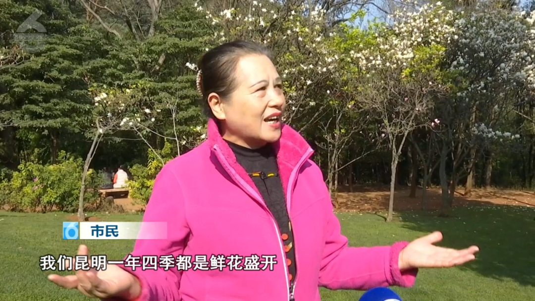 昆明公共文化云