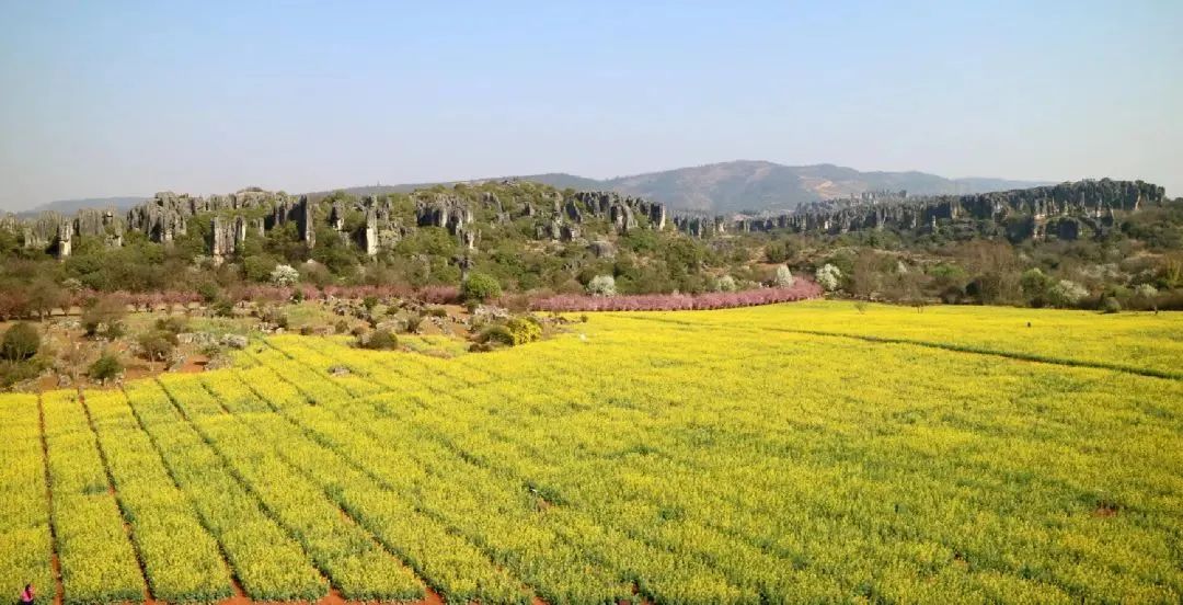 昆明公共文化云