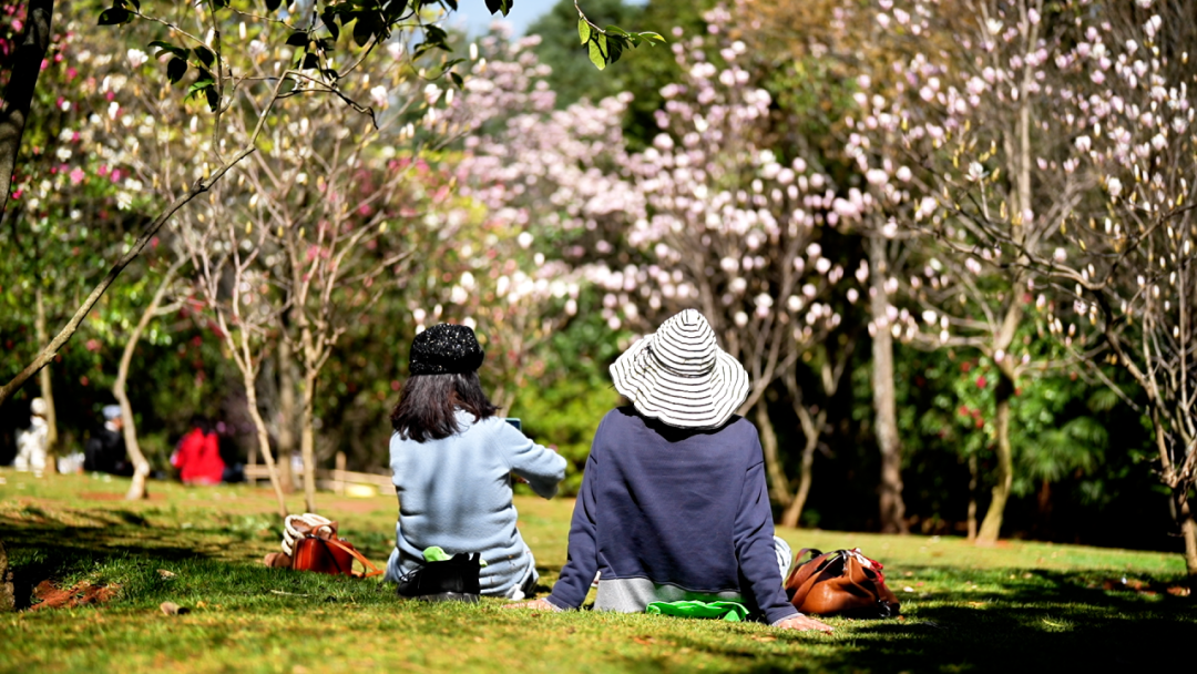 昆明公共文化云