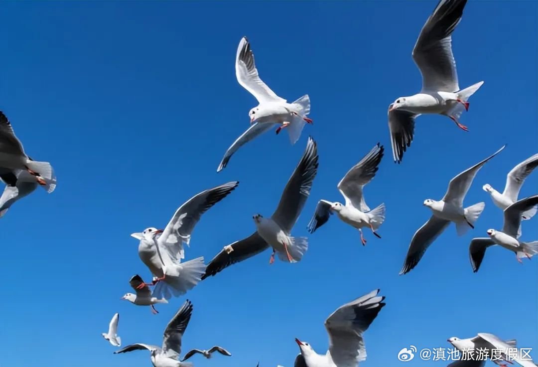 滇池旅游度假区