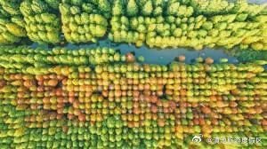 滇池绿道外海段 网红美景逛不完