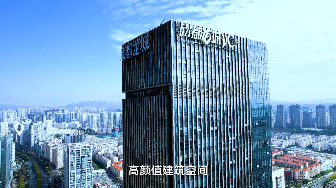 微观盘龙