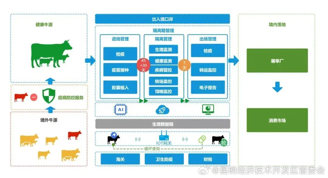 昆明经开区这家企业拿到全省首份数据产品知识产权登记证书