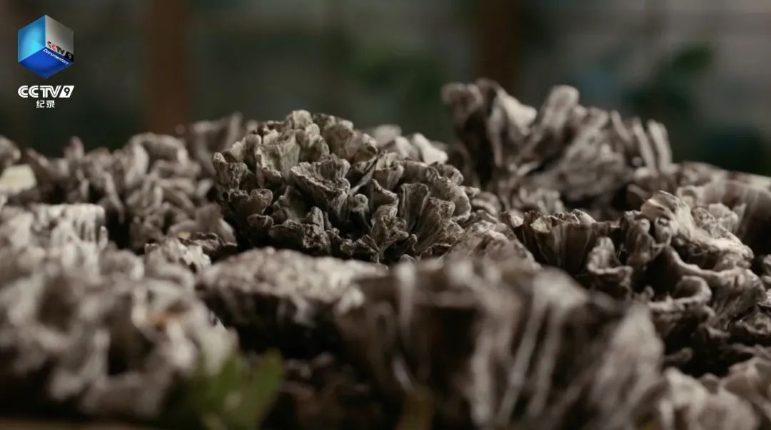 昆明广播电视台经济生活频道