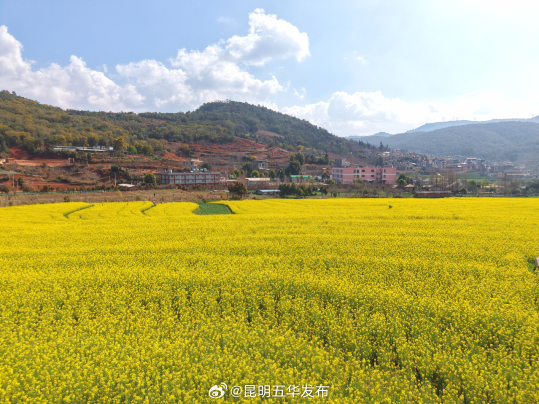 昆明五华发布