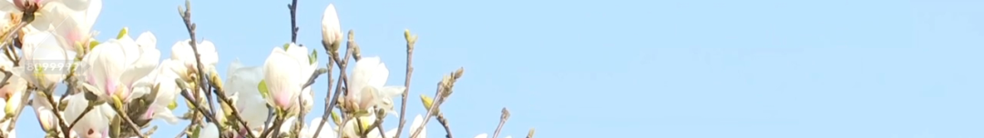 昆明公共文化云