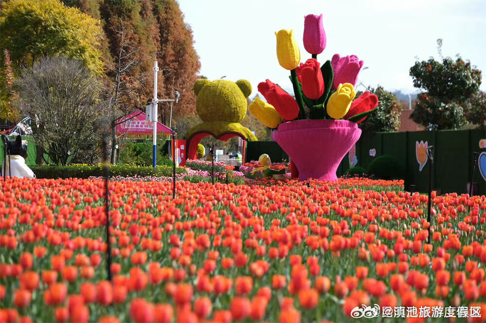 滇池旅游度假区