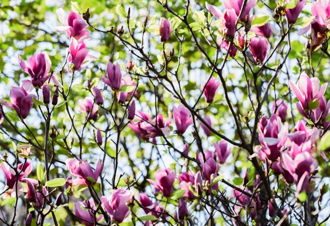 晋宁 诗意的栖居地