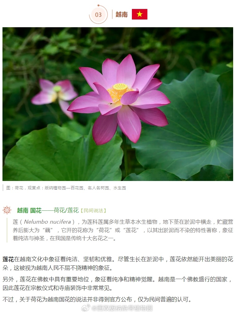 西双版纳热带植物园