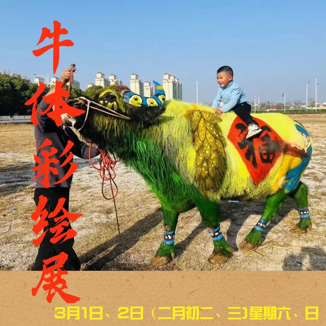 宜良之窗