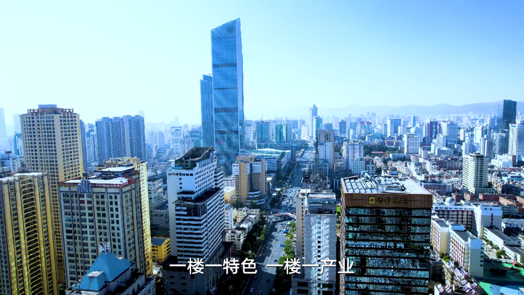 微观盘龙