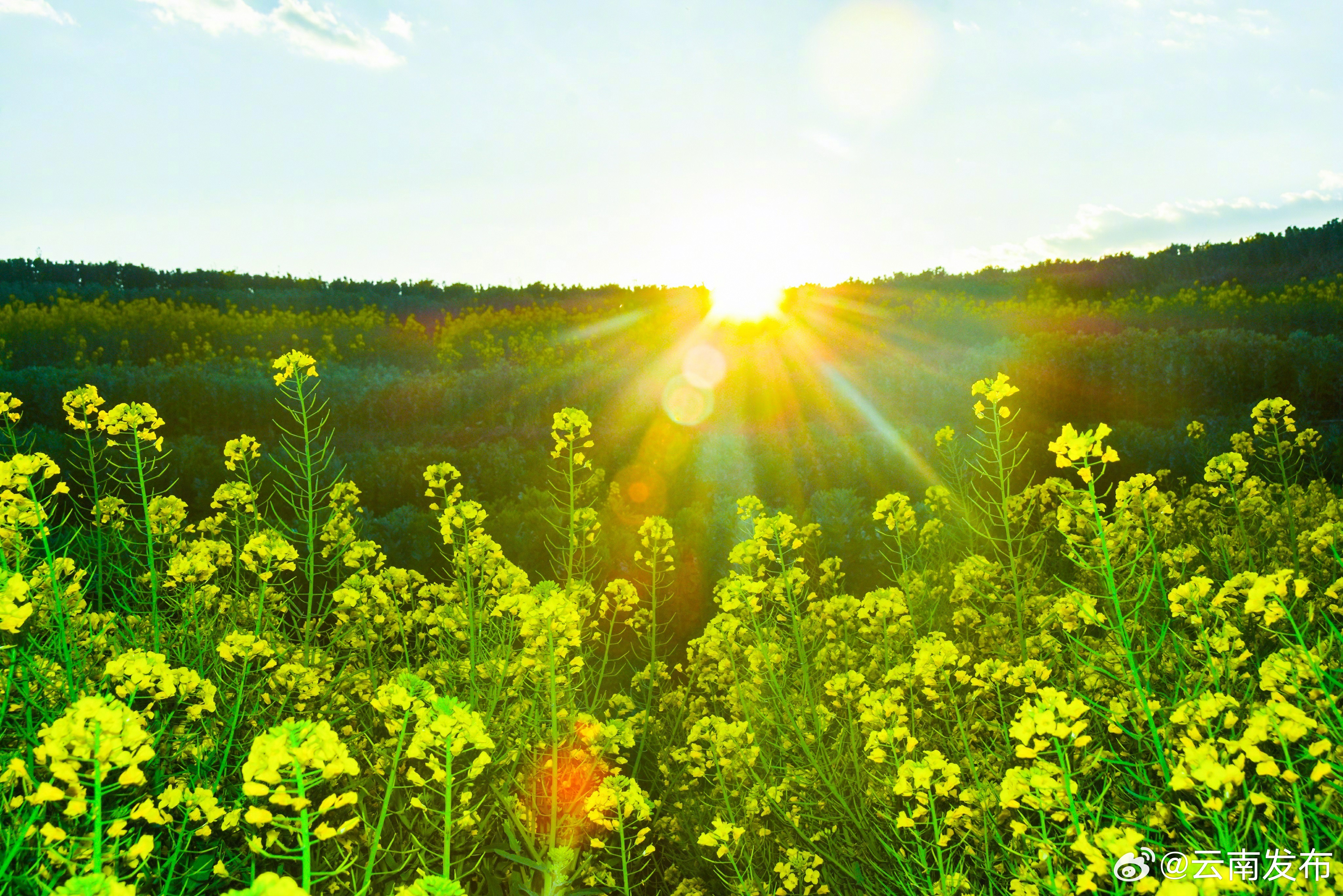 云南发布
