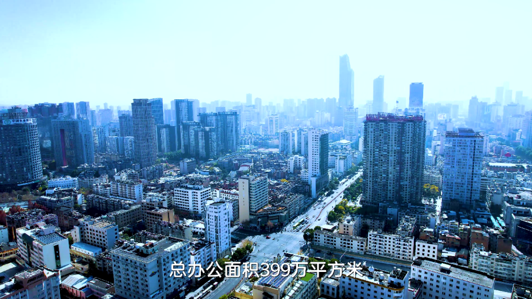 微观盘龙