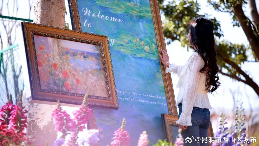 昆明市西山区发布