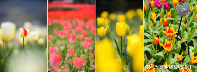 滇池旅游度假区