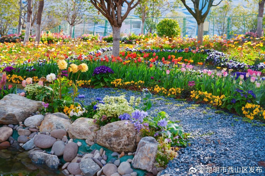 昆明市西山区发布