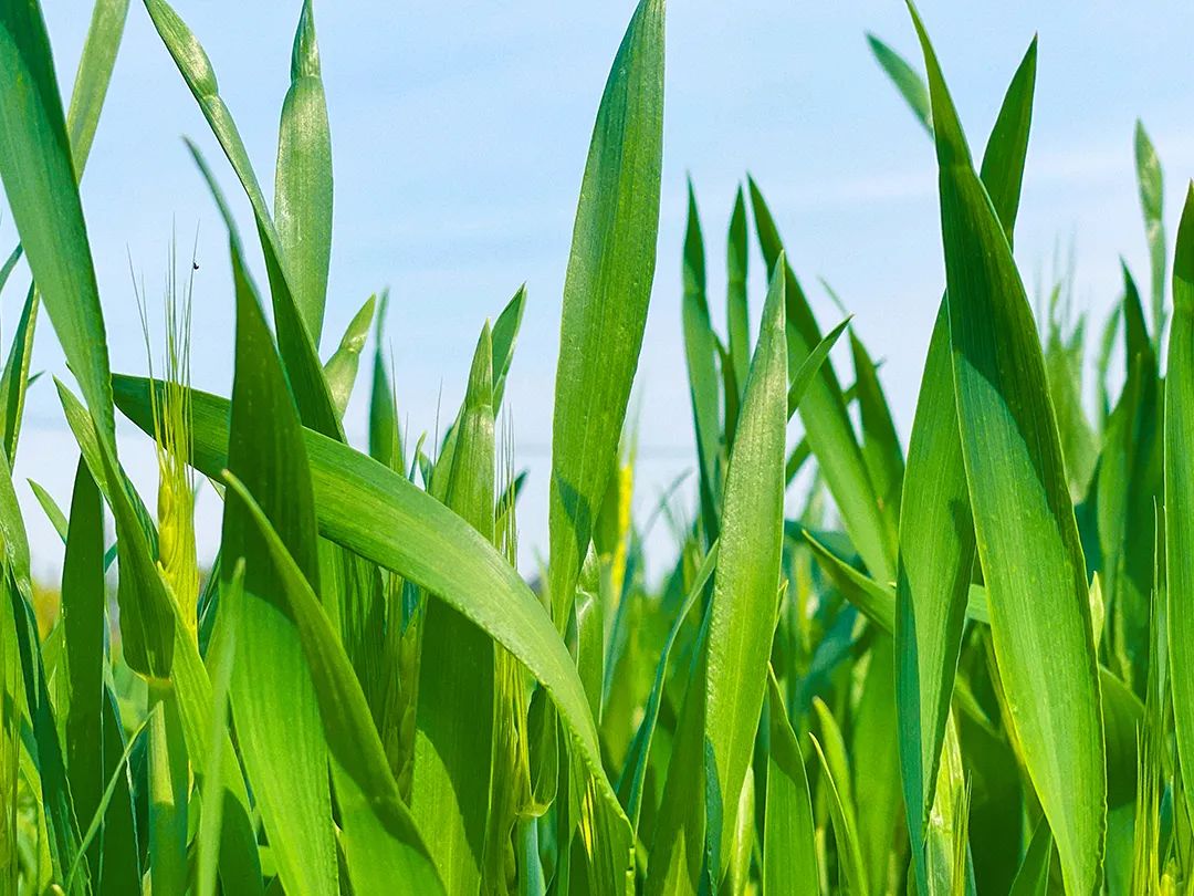 晋宁 诗意的栖居地