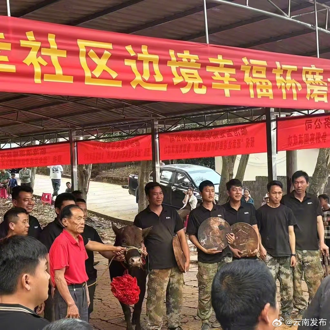 云南耿马陀螺争霸赛冠军奖品是头牛