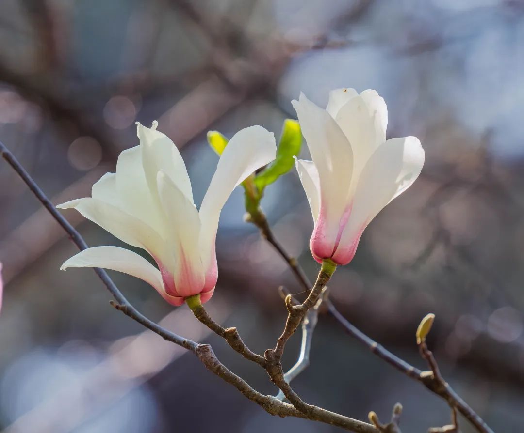 晋宁 诗意的栖居地