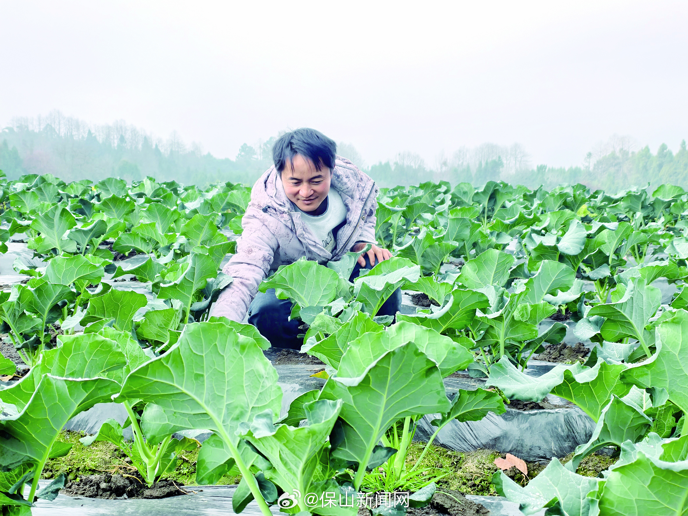 奋进春天 农民王正瑞“种”出好生活