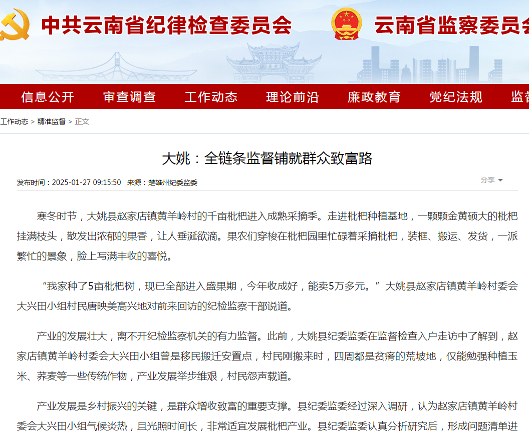 大姚:全链条监督铺就群众致富路