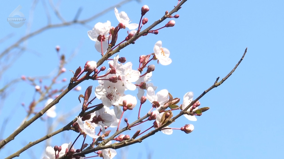 昆明公共文化云