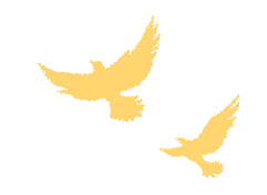 云南省中医医院