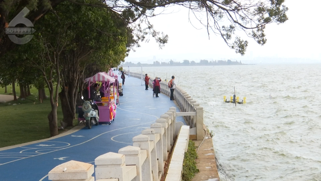 8099999街头巷尾微信