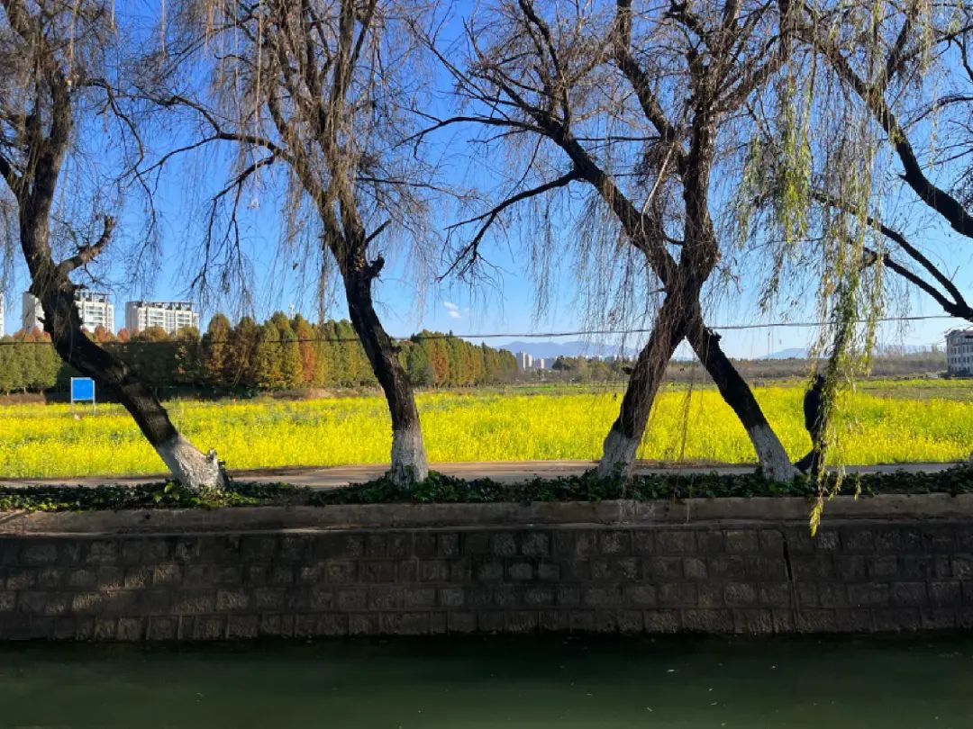 都市时报
